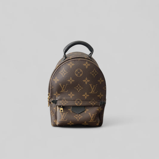 Louis Vuitton Palm Spring Mini Backpack