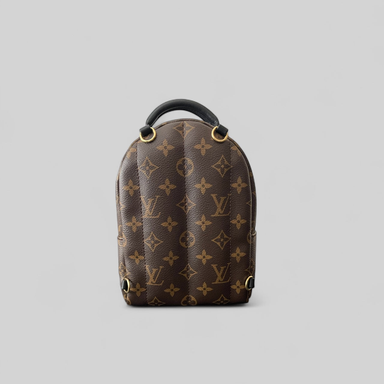 Louis Vuitton Palm Spring Mini Backpack
