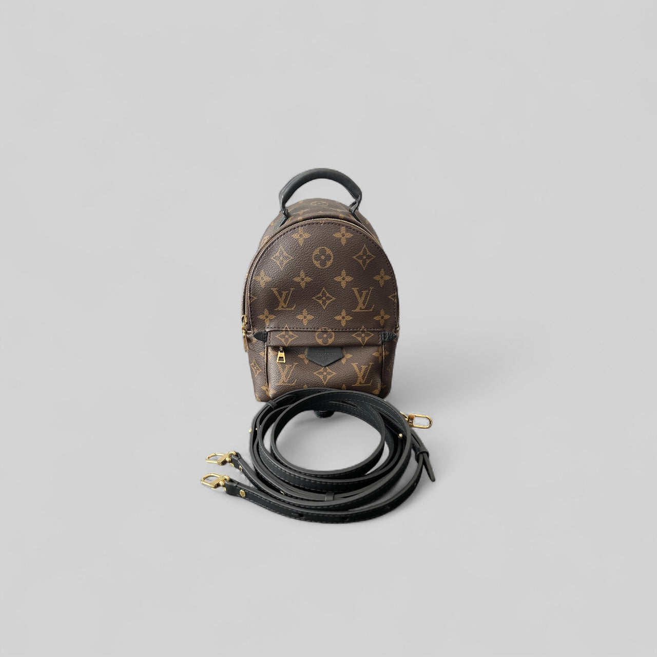 Louis Vuitton Palm Spring Mini Backpack